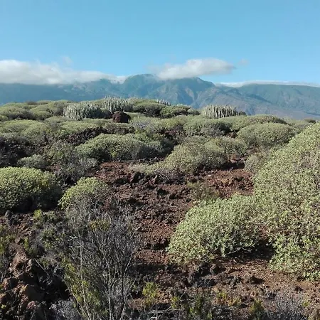 公寓 La Perla 坎德拉里亚