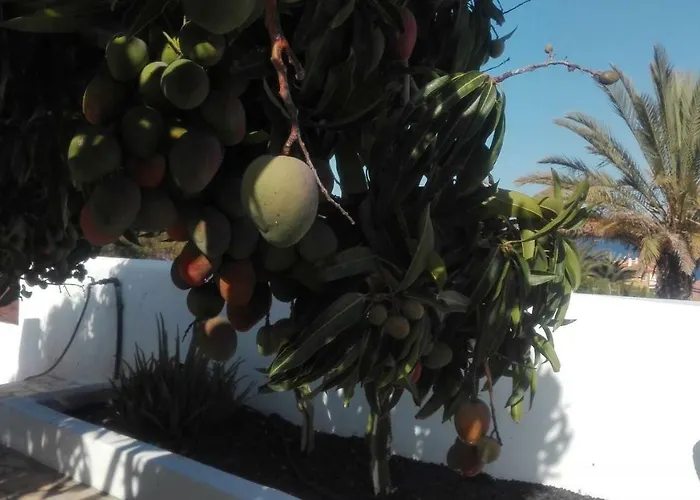 Apartment La Perla Candelaria