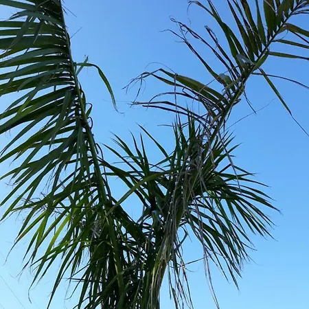 La Perla Appartement Candelaria