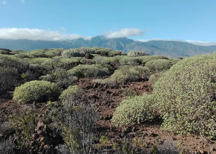 Apartamento La Perla Candelaria