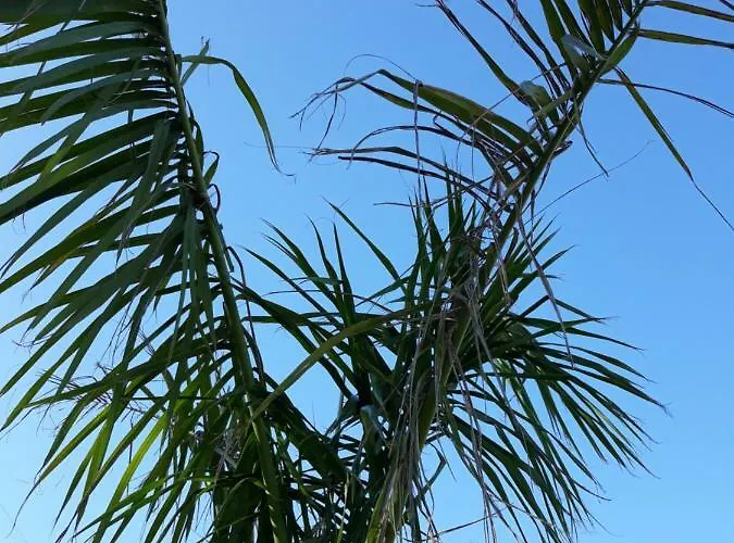 La Perla Apartamento Candelaria