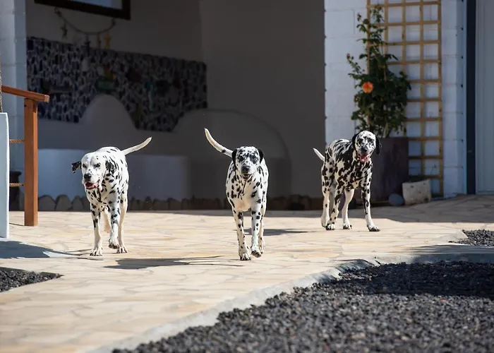 La Perla Appartement Candelaria